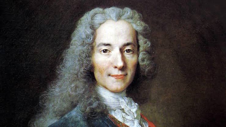 Voltaire quotes on books
