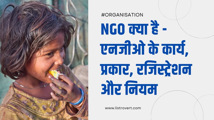 NGO in Hindi